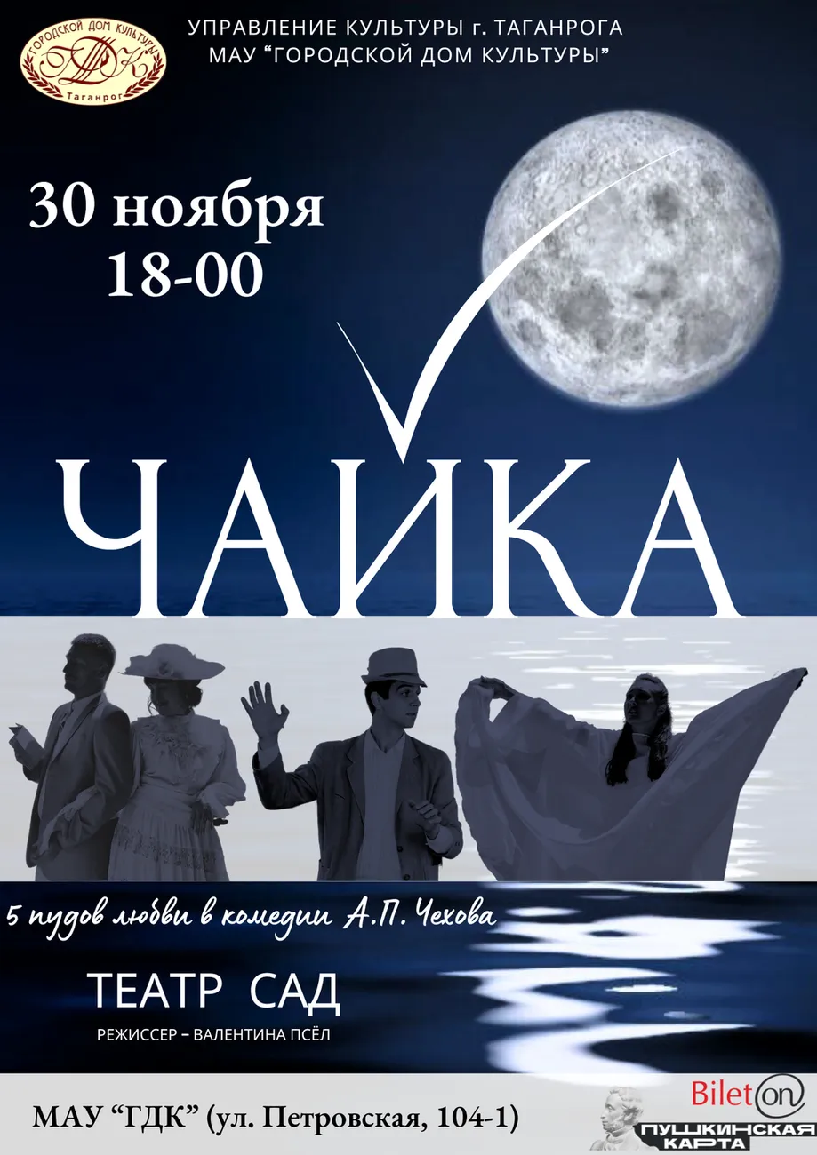 Чайка, копия